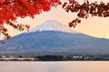 Mt. Fujiin Autumn Royalty Free Stock Photo