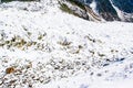 Mt. Gongga(Minya Konka) No.1 Glacier close-up