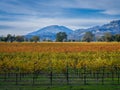 Mt Helena Napa Valley California Royalty Free Stock Photo