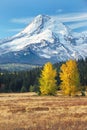 Mt Hood in fall from eastside Royalty Free Stock Photo
