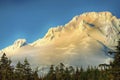 Mt. Hood in Late Afternoon Sunlight