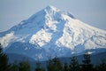 Mt Hood Oregon Royalty Free Stock Photo