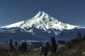 Mt. Hood Oregon, USA