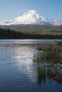 Mt Hood Reflection at Trillium Lake Royalty Free Stock Photo