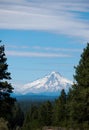 Mt. Hood Rises in the Distance