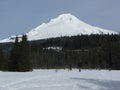 Mt Hood Snowcapped Peak Oregon USA Ski View