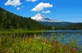 Mt. Hood with Trillium Lake and wildflowers Royalty Free Stock Photo