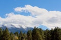 Mt. Humphreys in the winter with snow on top and a pine forest in the background, Flagstaff, Arizona. Royalty Free Stock Photo