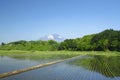 Mt.Iwate and pastoral landscape