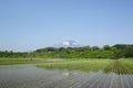 Mt.Iwate and pastoral landscape