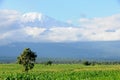 Mt Kilimanjaro - Moshi