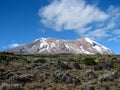 Mt Kilimanjaro - Moshi