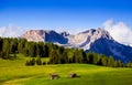 Mt.Langkofel at sunset, Seiser Alm, Dolomites, Italy Royalty Free Stock Photo