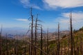 Mt. Lemmon area, near Tucson, Arizona. Coronado National Forest