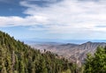 Mt. Lemmon area, near Tucson, Arizona. Coronado National Forest