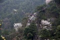 Mt. Lushan National Park, Jiangxi, China