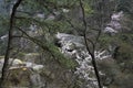 Mt. Lushan National Park, Jiangxi, China