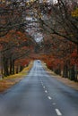 MOUNT MACEDON