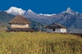 Mt. Machhapuchhre/Fishtail, Annapurna South & Hiunchuli, Dhampus Village, Nepal Royalty Free Stock Photo