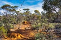 Walking trail through te bushland of Wongan Hills, Western Australia Royalty Free Stock Photo