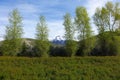 Mt. McCaleb - Mackay, Idaho Royalty Free Stock Photo