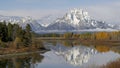 mt moran at oxbow bend on a calm autumn morning Royalty Free Stock Photo