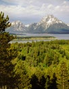 Mt.Moran Royalty Free Stock Photo