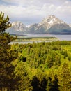 Mt.Moran Royalty Free Stock Photo