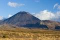 Mt. Ngauruhoe Volcano Royalty Free Stock Photo