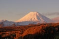 Mt. Ngauruhoe volcano at sunset, New Zealand Royalty Free Stock Photo