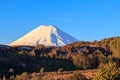 Mt. Ngauruhoe volcano at sunset, Tongariro National Park Royalty Free Stock Photo