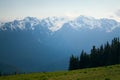 Mt. Olympus Peaks at Hurricane Ridge Royalty Free Stock Photo