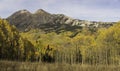 Mt. Owen and Ruby Peak with Changing Aspen Royalty Free Stock Photo