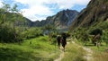 Mt. Pinatubo Caldera