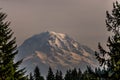 Mt. Rainer Royalty Free Stock Photo