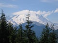 Scenic view of Mt. Rainier from Highway 410.