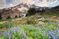 Mt. Rainier and flowers