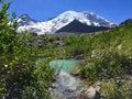 Mt. Rainier & Glacial Tarn, White River, Emmons Moraine Trail, Mt. Rainier National Park, Washington