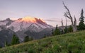 Mt Rainier National Park At Sunrise