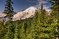 This is Mt. Rainier National Park in Washington.