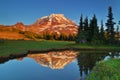 Mt. Rainier reflections Royalty Free Stock Photo