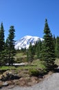 Mt. Rainier scenic landscape Royalty Free Stock Photo