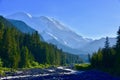 Mt. Rainier/ Tahoma from White River, Emmons Moraine Trail, Mt. Rainier National Park, Washington Royalty Free Stock Photo