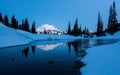 Mt. Rainier, Tipsoo Lake, Washington State Royalty Free Stock Photo