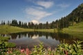 Mt. Rainier and Tipsoo Lake with wildflower Royalty Free Stock Photo