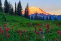 Mount Rainier Royalty Free Stock Photo