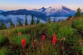 Mt. Rainier, Washington State Royalty Free Stock Photo