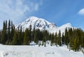 Mt Rainier in Winter