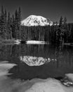 Mt. Rainier Winter Reflection in Black and White