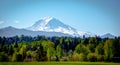 Landscape of Mt. Ranier with green trees to the forefront Royalty Free Stock Photo